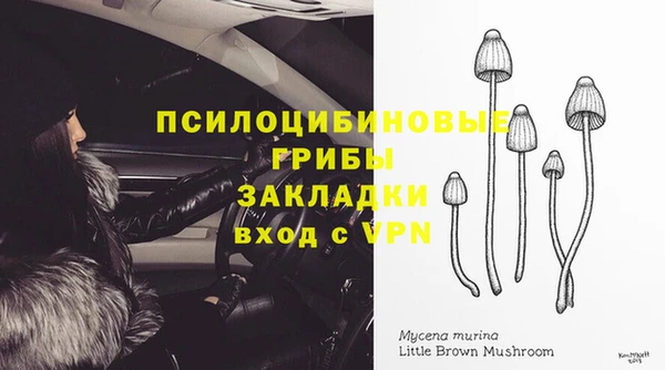 крисы Алзамай