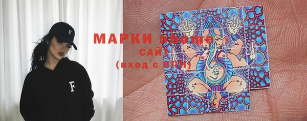 крисы Алзамай