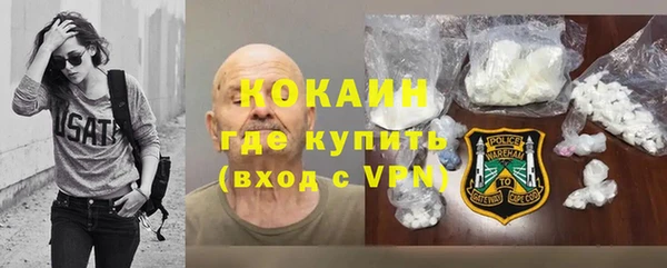 крисы Алзамай