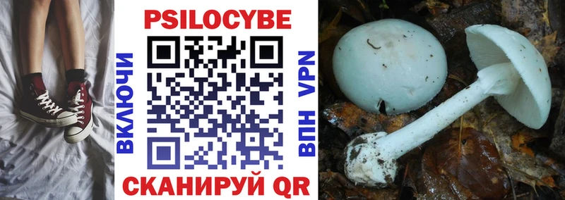 Псилоцибиновые грибы Psilocybine cubensis  сколько стоит  Неман 